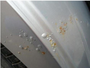 應(yīng)該如何保護(hù)汽車免受大雨的傷害
