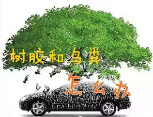 我如何清洗我車上的口香糖？
