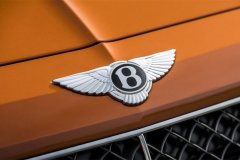 車標帶翅膀的5個汽車品牌，個