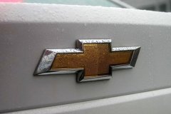 被車標(biāo)毀了的5個(gè)汽車品牌，第