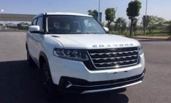 國產(chǎn)又出神車，車標(biāo)仿長安，