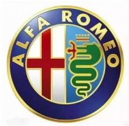 大家都認(rèn)識這些車標(biāo)但有幾個