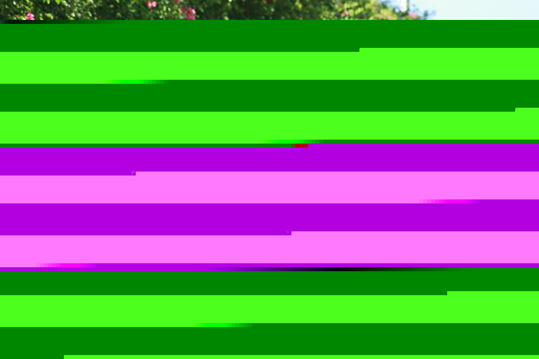 5.98萬起，這些車各有看點，但有些被逼得要退市！