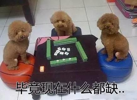 �P�ڱ��B(y��ng)����̫���㲻֪��������